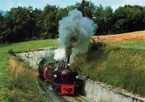 AK / Ansichtskarte  Eisenbahn Railway Chemin de Fer Blonay Chamby Tunnel Zell Todnau