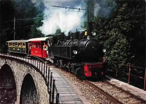 AK / Ansichtskarte  Eisenbahn Railway Chemin de Fer Blonay Chamby Tunnel Schweiz