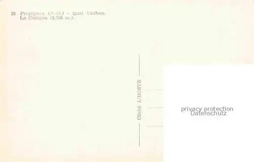 AK / Ansichtskarte  PERPIGNAN 66 Pyrenees-Orientales Quai Vauban Le Canigou