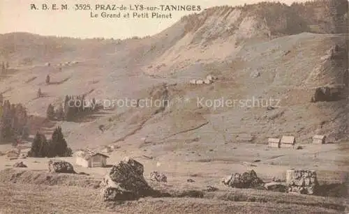 AK / Ansichtskarte  Praz-de-Lys Taninges 74 Haute-Savoie Le Grand et Petit Planet