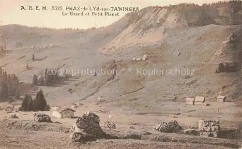 AK / Ansichtskarte  Praz-de-Lys Taninges 74 Haute-Savoie Le Grand et Petit Planet