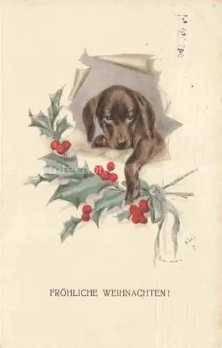 AK / Ansichtskarte  Dackel Dachshund Teckel Hunde dogs Chiens Cani Weihnachten