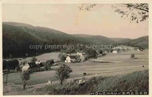 AK / Ansichtskarte  Holzhau Erzgebirge Rechenberg-Bienenmuehle Panorama