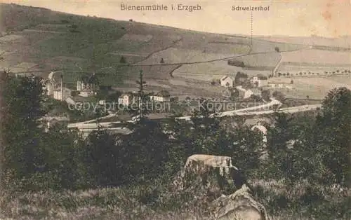 AK / Ansichtskarte  Bienenmuehle Rechenberg Osterzgebirge Panorama Schweizerhof