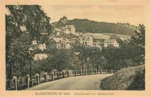 AK / Ansichtskarte  Blankenburg Harz Schlossweg mit Grossvater