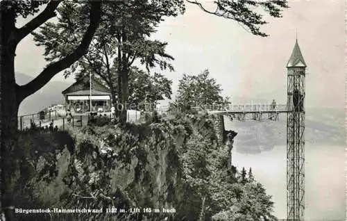 AK / Ansichtskarte  Buergenstock Vierwaldstaettersee NW Hammetschwand Lift