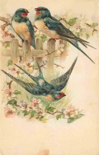 AK / Ansichtskarte  Schwalbe Swallow Hirondelle Golondria Voegel Birds Oiseaux Litho