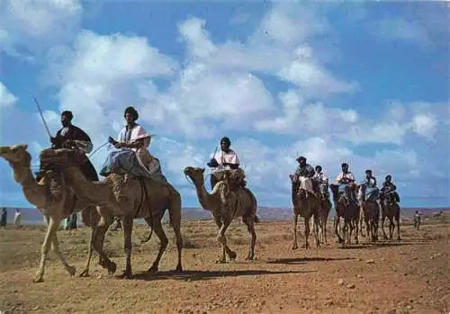 AK / Ansichtskarte  Kamele  Camel Chameau-- Maroc Marokko Grenzreiter Wueste