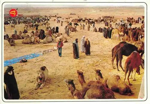 AK / Ansichtskarte  Kamele  Camel Chameau-- Maroc Marokko Souk 