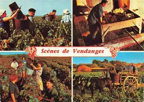 AK / Ansichtskarte  Wein Wine Vin Vino-- Scenes de Vendanges