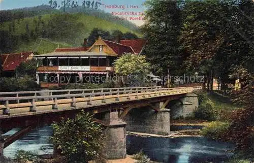 AK / Ansichtskarte  Treseburg Thale Harz Sachsen-Anhalt Bodebruecke mit Hotel Forelle