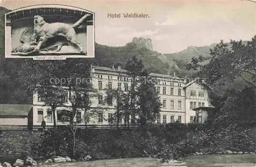 AK / Ansichtskarte  Waldkater Hotel Bodetal Bodethal Harz Hotel Waldkater Relief am Hotel