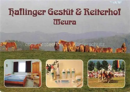 AK / Ansichtskarte  Meura Haflinger Gestuet und Reiterhof