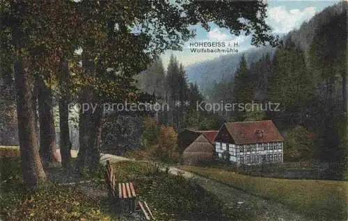 AK / Ansichtskarte  Hohegeiss Braunlage Harz Wolfsbachmuehle