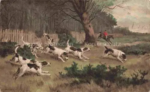 AK / Ansichtskarte  Jagd Chasse Hunting Hunde Bruxelles