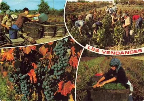 AK / Ansichtskarte  Wein Wine Vin Vino-- les vendanges