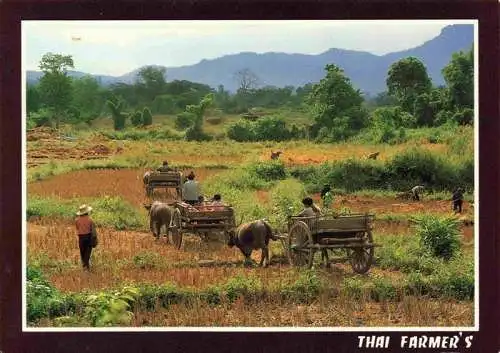 AK / Ansichtskarte  Landwirtschaft Thai Farmer's