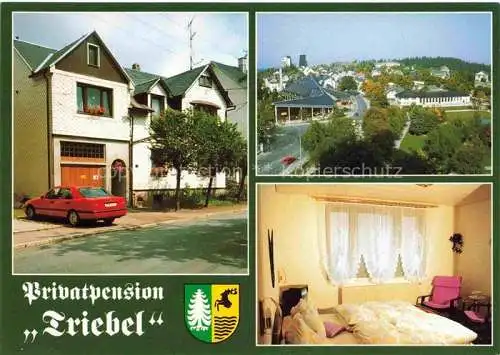 AK / Ansichtskarte  Oberhof  Thueringen Pension Triebel Fremdenzimmer Panorama