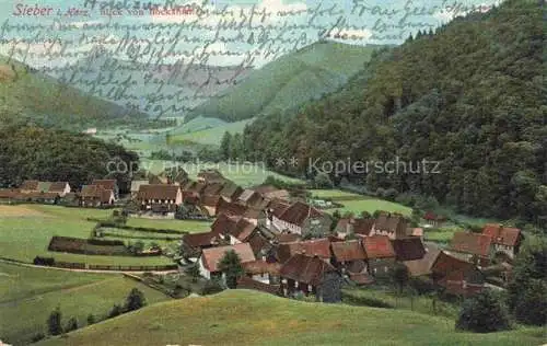 AK / Ansichtskarte  Sieber Herzberg am Harz Blick von Bockslust