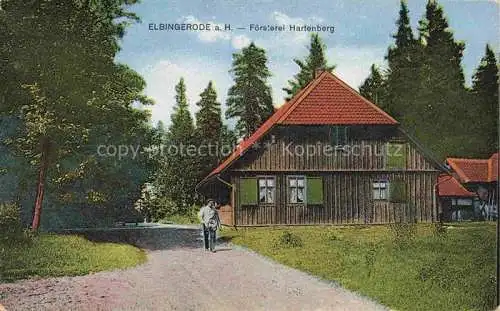 AK / Ansichtskarte  Elbingerode Harz Foersterei Hartenberg