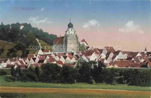 AK / Ansichtskarte  Herrenberg Gaeu BW Stadtansicht mit Kirche