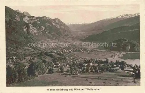 AK / Ansichtskarte  Wallenstadtberg SG Panorama mit Blick auf Wallenstadt Militaerpost