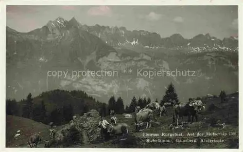 AK / Ansichtskarte  Flums  SG Kurgebiet Molseralp Alpenpanorama Alvierkette