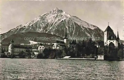 AK / Ansichtskarte  SPIEZ Thunersee BE Ansicht vom See aus Blick gegen Niesen