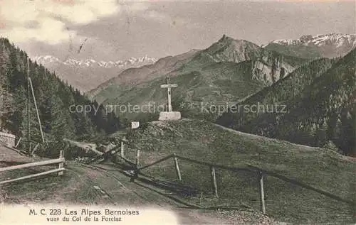 AK / Ansichtskarte  MARTIGNY  Martinaco VS Panorama les Alpes Bernoises vues du Col de la Forclaz