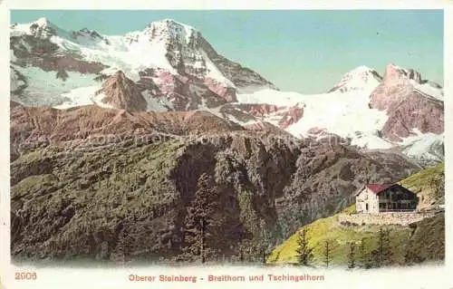 AK / Ansichtskarte  Obersteinberg Stechelberg BE Panorama Oberer Steinberg Blick gegen Breithorn und Tschingelhorn