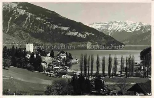 AK / Ansichtskarte  SPIEZ Thunersee BE Panorama Alpen