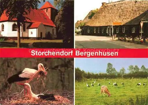 AK / Ansichtskarte  Bergenhusen Das Storchendorf Interessengemeinschaft Rettet den weissen Storch