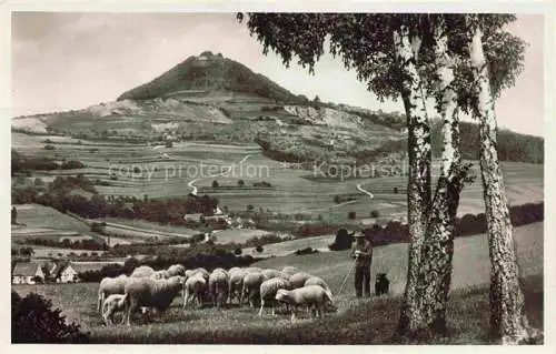 AK / Ansichtskarte  Schaeferei Sheperding Bergerie-- Hohenstaufen 