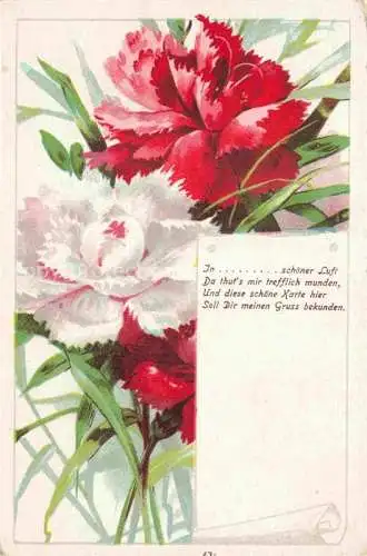 AK / Ansichtskarte  Nelken Carnations Oeillets Claveles Garofani-- Rot Weis