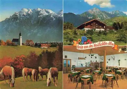 AK / Ansichtskarte  Piding Berggaststaette Neubichleralm am Hoegl Haflingerpferde Alpen