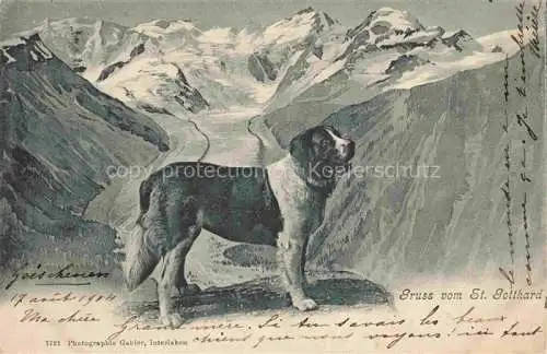 AK / Ansichtskarte  St Gotthard  San Gottardo TI Gebirgspanorama Bernhardiner Hund