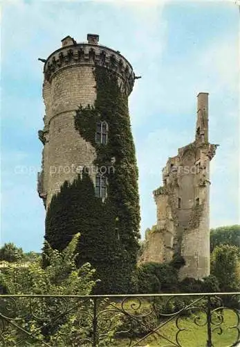 AK / Ansichtskarte  Mehun-sur-Yevre Ruines du vieux château Charles VII XVe siècle