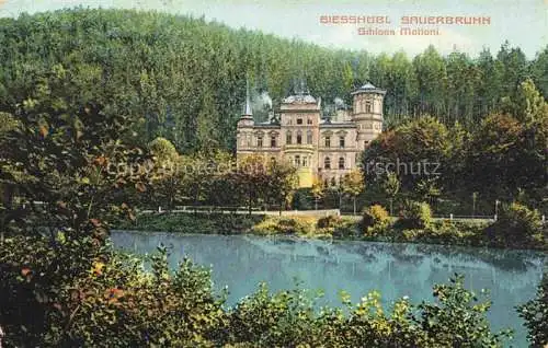 AK / Ansichtskarte  Sauerbrunn Bilin Bilina CZ Schloss Malloni