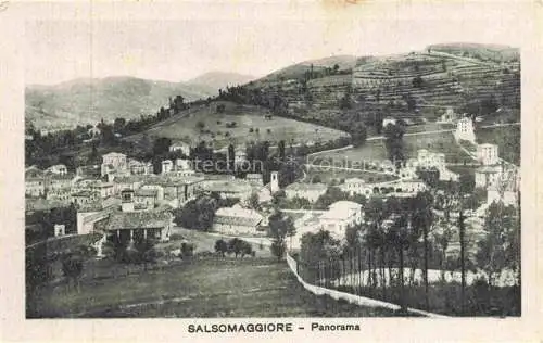 AK / Ansichtskarte  Salsomaggiore Parma Emilia-Romagna IT Panorama