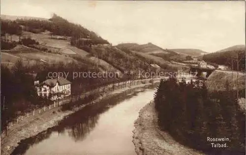 AK / Ansichtskarte  Rosswein Sachsen Panorama Talbad