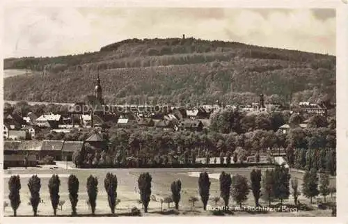 AK / Ansichtskarte  Rochlitz  Sachsen Panorama Blick gegen Rochlitzer Berg