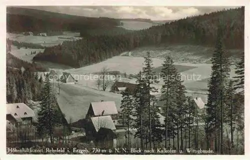 AK / Ansichtskarte  Rehefeld-Zaunhaus Altenberg Panorama Blick nach Kalkofen und Wittigbaude