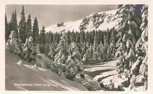 AK / Ansichtskarte  Hirschberg  JELENIA GORA Riesengebirge Schlesien PL Partie am kleinen Teich Winterlandschaft