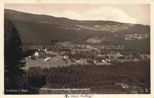 AK / Ansichtskarte  Wolfshau Riesengebirge PL Panorama