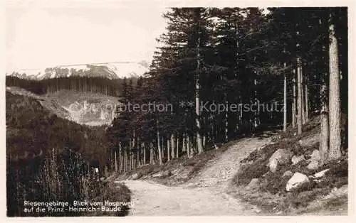 AK / Ansichtskarte  Krummhuebel Karpacz Riesengebirge PL Blick vom Hoserweg auf die Prinz-Heinrich-Baude