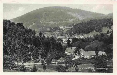 AK / Ansichtskarte  Agnetendorf  Jagniatkow Jelenia Gora Riesengebirge PL Panorama Blick nach dem Herdberg