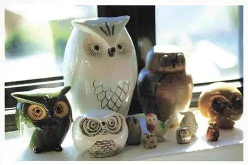 AK / Ansichtskarte  Eule Owl Hibou Chouette-- Offspring 