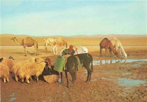 AK / Ansichtskarte  Kamele  Camel Chameau-- Judean Desert 