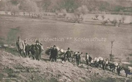 AK / Ansichtskarte  Serbien Serbija Feldzug 1915 Tragtier Kolonie im Ibartal