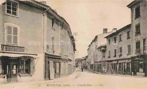 AK / Ansichtskarte  Montluel Bourg-en-Bresse 01 Ain Grande Rue